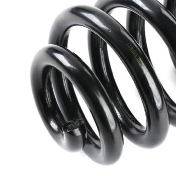 Reinforced rear axle coil spring (4295060), VW Multivan/Transporter T5/T6